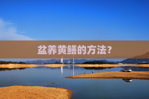 盆养黄鳝的方法？