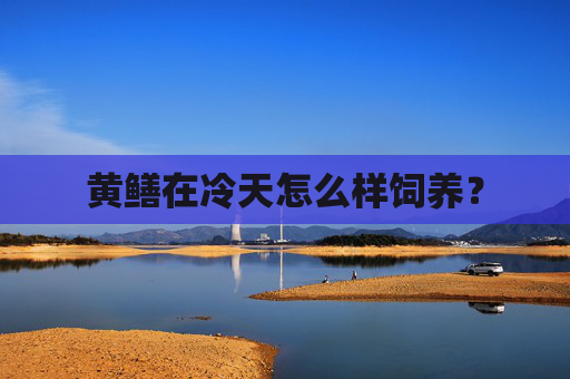 黄鳝在冷天怎么样饲养？