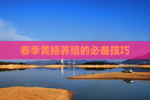 春季黄鳝养殖的必备技巧