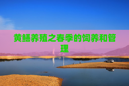 黄鳝养殖之春季的饲养和管理