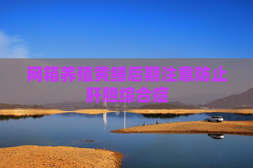 网箱养殖黄鳝后期注意防止肝胆综合症