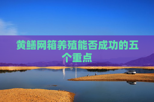 黄鳝网箱养殖能否成功的五个重点