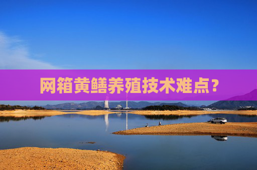 网箱黄鳝养殖技术难点？