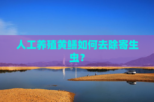 人工养殖黄鳝如何去除寄生虫？