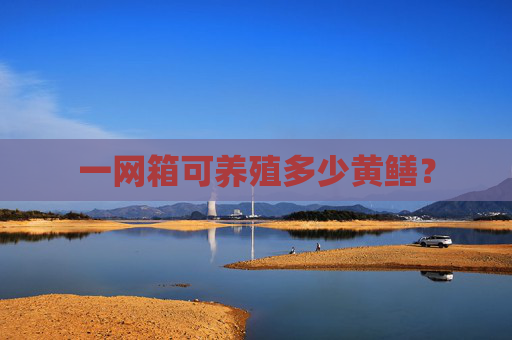 一网箱可养殖多少黄鳝？