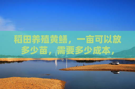 稻田养殖黄鳝，一亩可以放多少苗，需要多少成本，