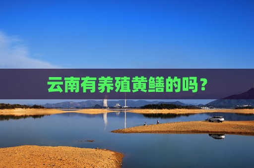 云南有养殖黄鳝的吗？