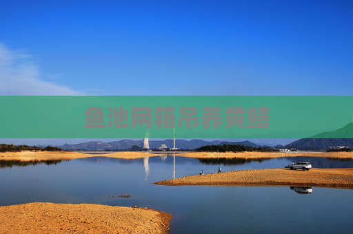 鱼池网箱吊养黄鳝