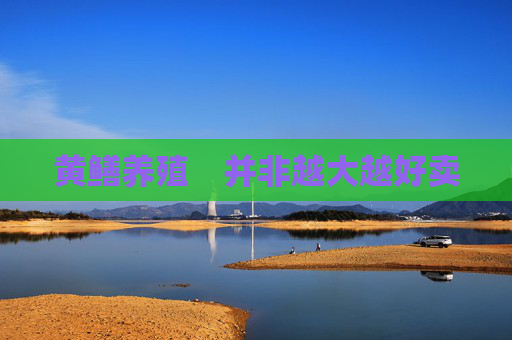 黄鳝养殖　并非越大越好卖