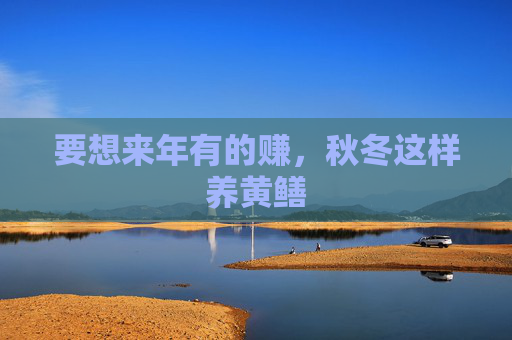 要想来年有的赚，秋冬这样养黄鳝