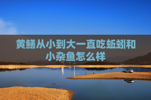 黄鳝从小到大一直吃蚯蚓和小杂鱼怎么样