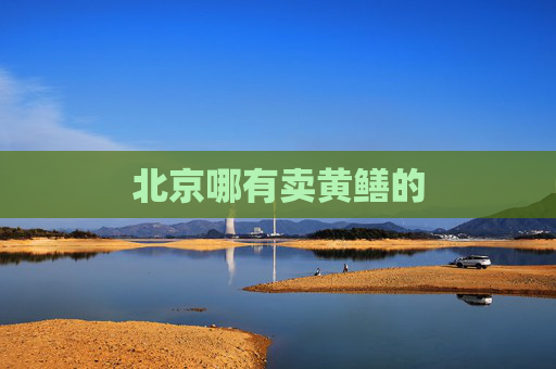 北京哪有卖黄鳝的