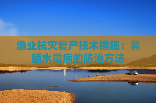 渔业抗灾复产技术措施：黄鳝水霉病的防治方法