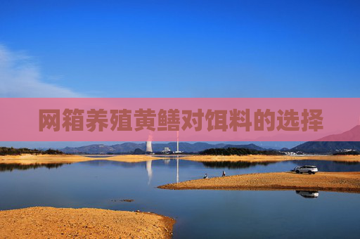 网箱养殖黄鳝对饵料的选择