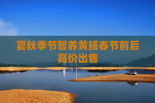 夏秋季节暂养黄鳝春节前后高价出售
