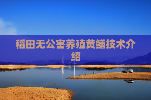 稻田无公害养殖黄鳝技术介绍