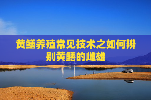 黄鳝养殖常见技术之如何辨别黄鳝的雌雄