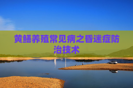 黄鳝养殖常见病之昏迷症防治技术