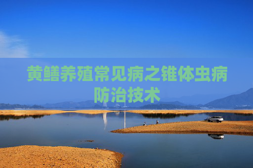 黄鳝养殖常见病之锥体虫病防治技术