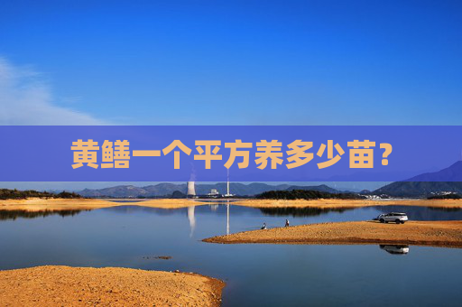 黄鳝一个平方养多少苗？