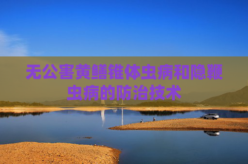 无公害黄鳝锥体虫病和隐鞭虫病的防治技术