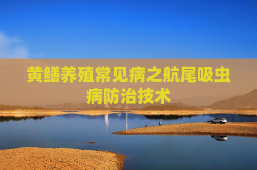 黄鳝养殖常见病之航尾吸虫病防治技术