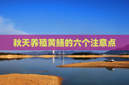 秋天养殖黄鳝的六个注意点