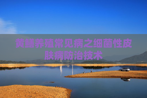 黄鳝养殖常见病之细菌性皮肤病防治技术