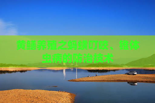 黄鳝养殖之蚂蟥叮咬、锥体虫病的防治技术
