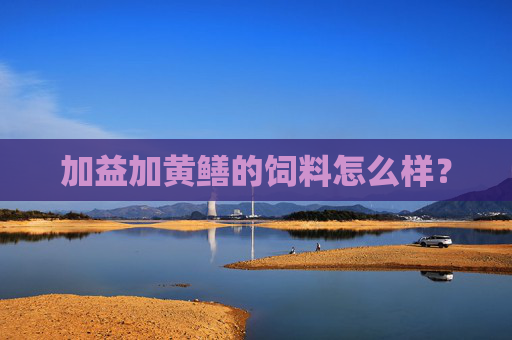 加益加黄鳝的饲料怎么样？