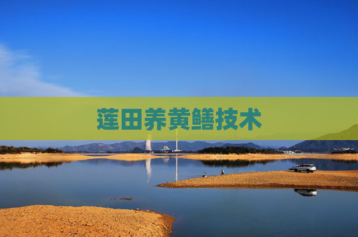 莲田养黄鳝技术