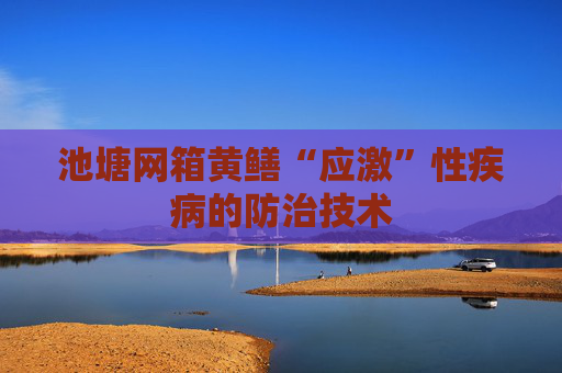 池塘网箱黄鳝“应激”性疾病的防治技术