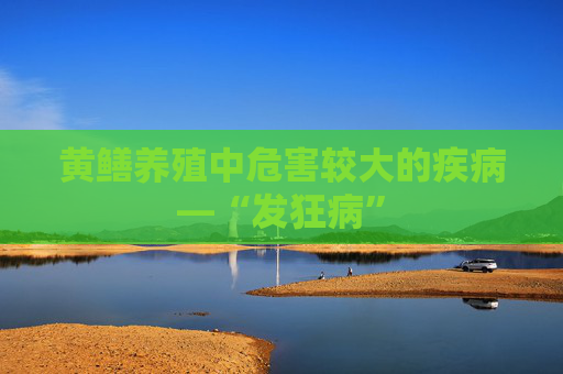 黄鳝养殖中危害较大的疾病—“发狂病”