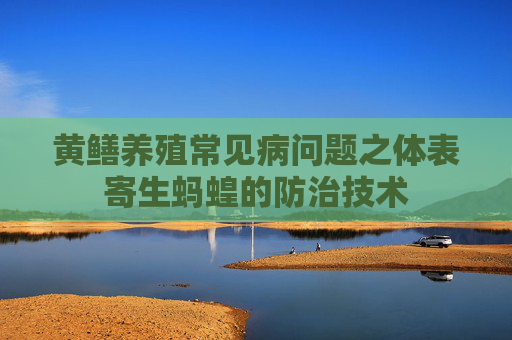 黄鳝养殖常见病问题之体表寄生蚂蝗的防治技术