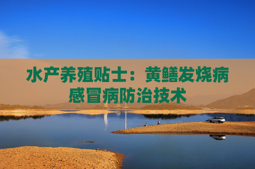 水产养殖贴士：黄鳝发烧病感冒病防治技术