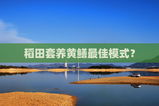 稻田套养黄鳝最佳模式？