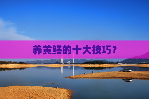 养黄鳝的十大技巧？