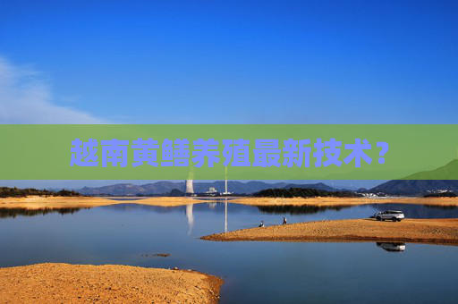 越南黄鳝养殖最新技术？