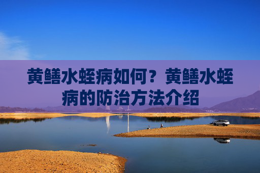 黄鳝水蛭病如何？黄鳝水蛭病的防治方法介绍