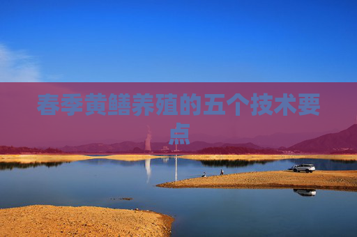 春季黄鳝养殖的五个技术要点