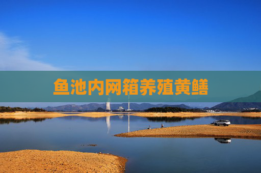鱼池内网箱养殖黄鳝