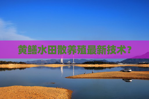黄鳝水田散养殖最新技术？