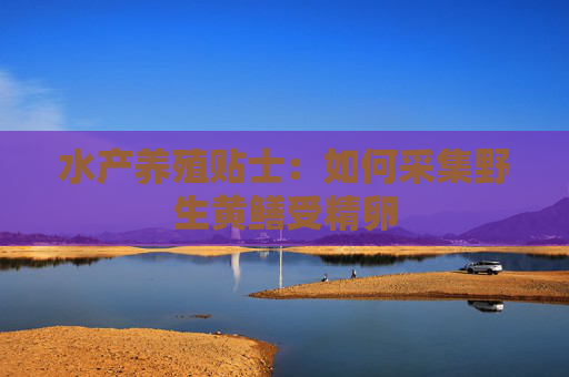 水产养殖贴士：如何采集野生黄鳝受精卵