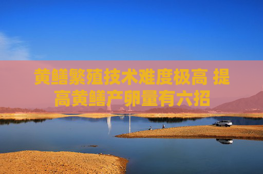 黄鳝繁殖技术难度极高 提高黄鳝产卵量有六招