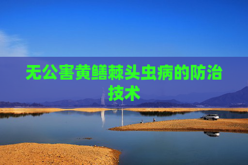 无公害黄鳝棘头虫病的防治技术