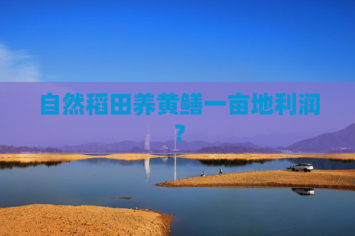 自然稻田养黄鳝一亩地利润？