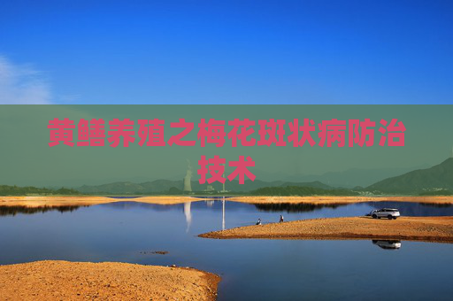 黄鳝养殖之梅花斑状病防治技术