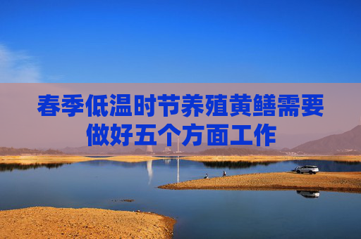 春季低温时节养殖黄鳝需要做好五个方面工作