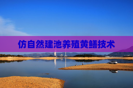 仿自然建池养殖黄鳝技术