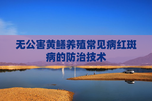 无公害黄鳝养殖常见病红斑病的防治技术